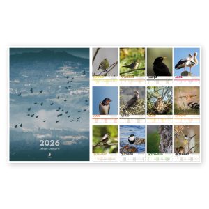 Calendário Aves de Amarante 2026